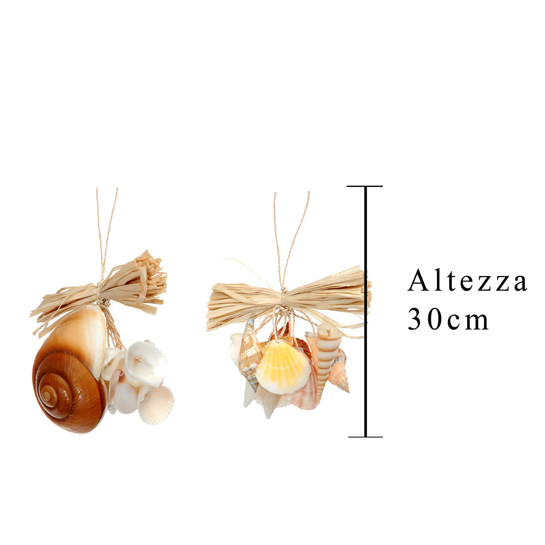 6 Pezzi • Decoro conchiglie • 30 cm