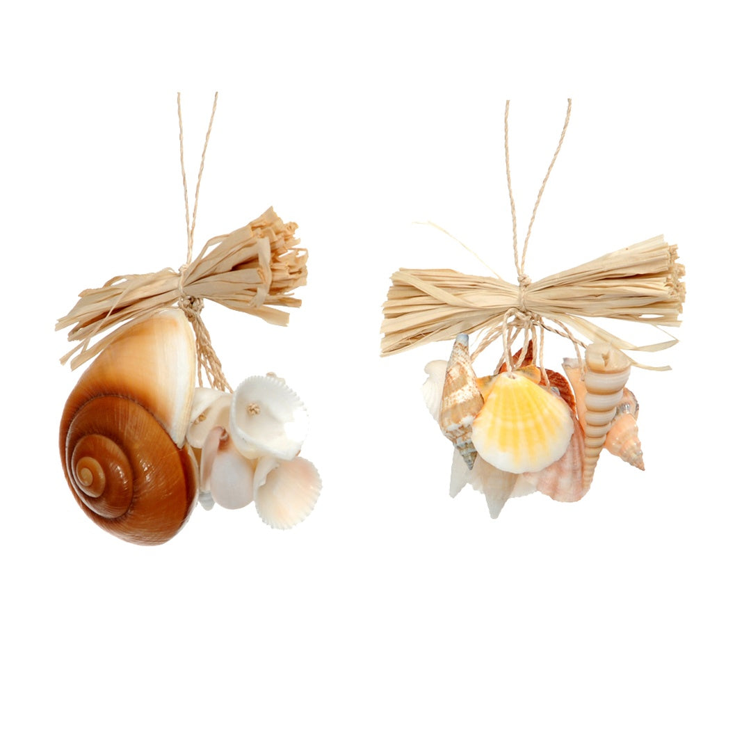 6 Pezzi • Decoro conchiglie • 30 cm