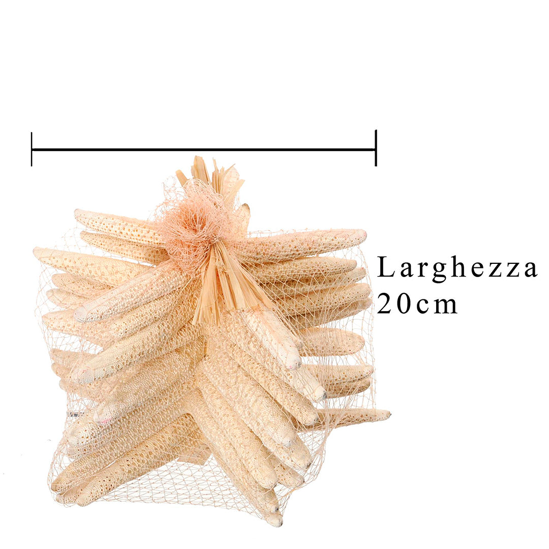 Stelle marine sbiancata 10 pezzi • 20 cm