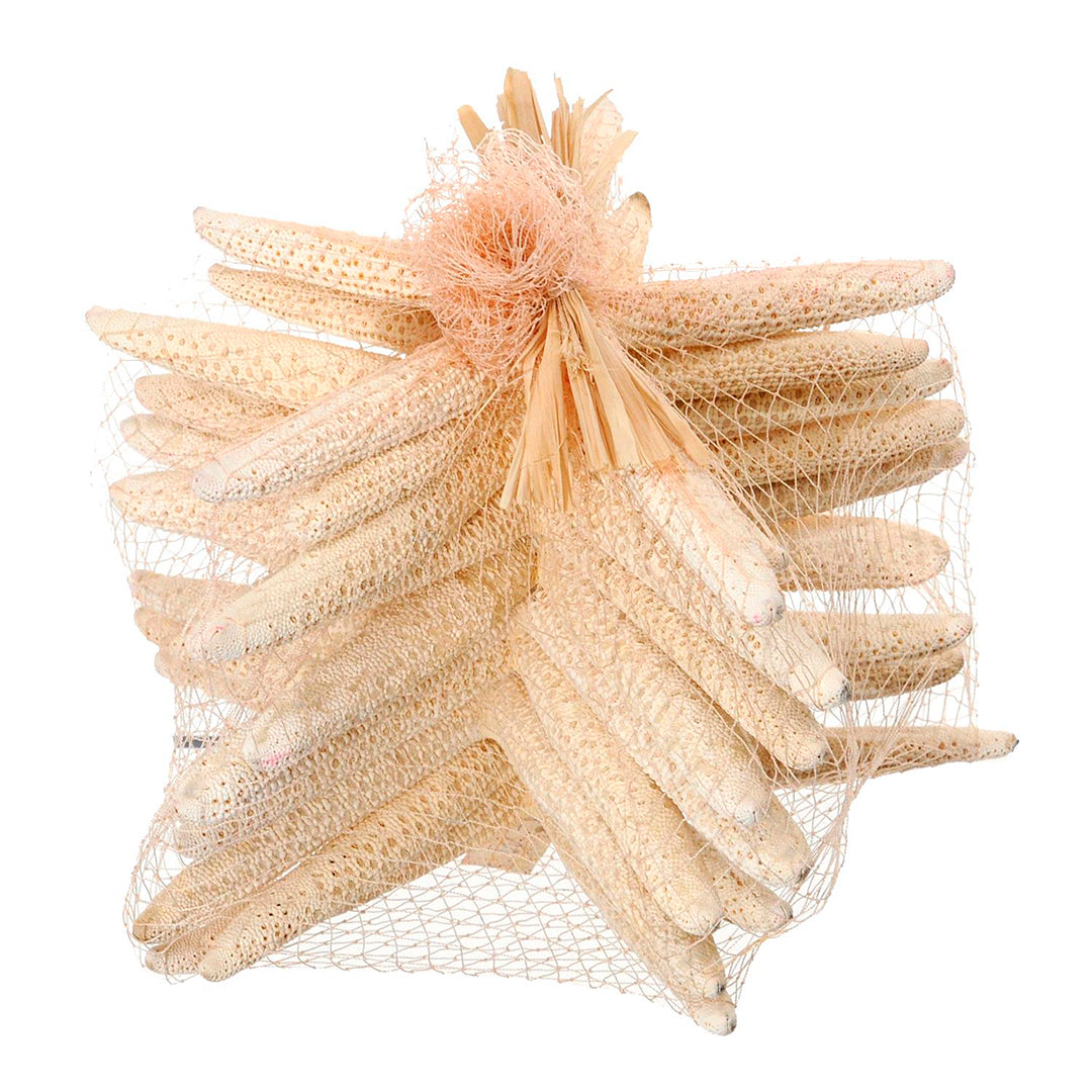 Stelle marine sbiancata 10 pezzi • 20 cm