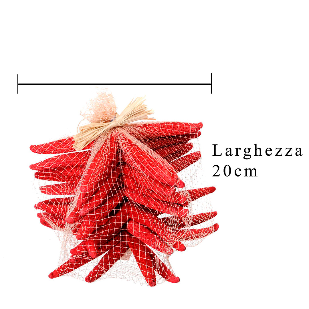 Stelle marine colorate 10 pezzi • 20 cm