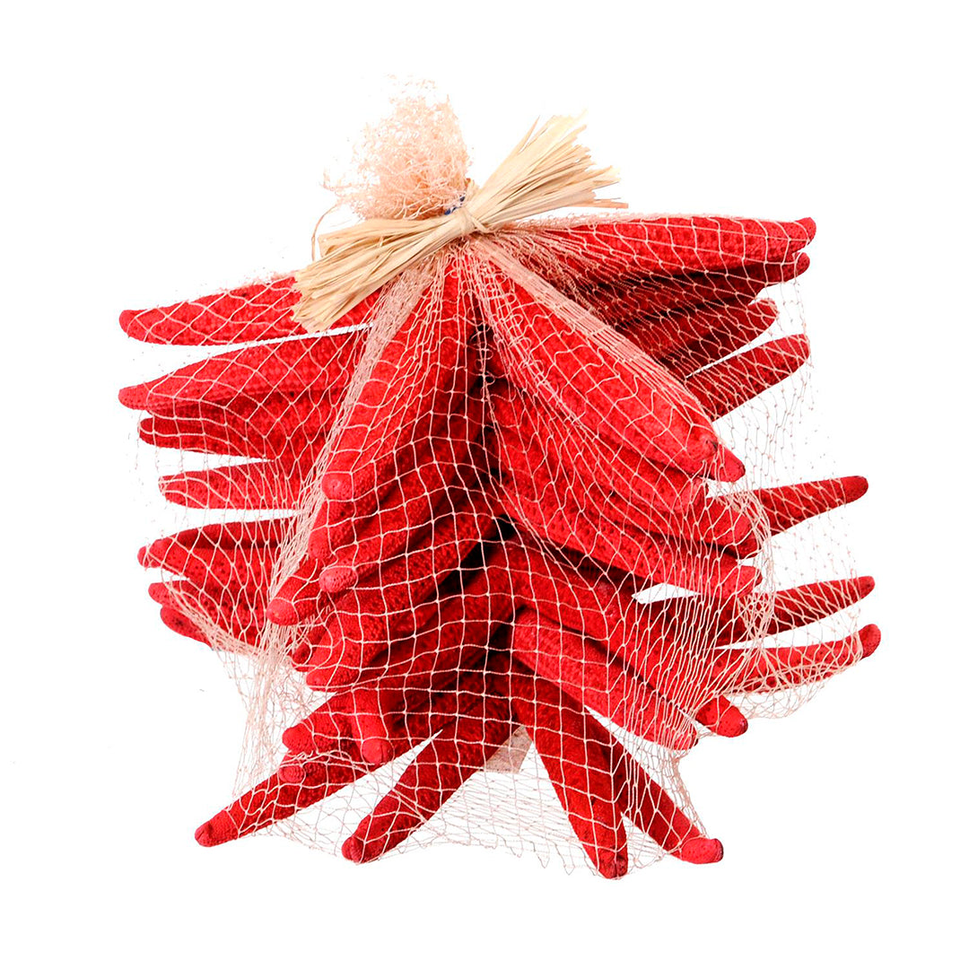 Stelle marine colorate 10 pezzi • 20 cm