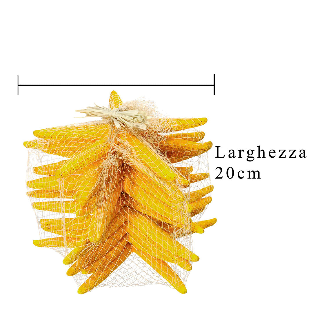 Stelle marine colorate 10 pezzi • 20 cm