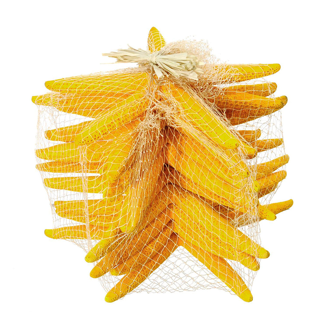 Stelle marine colorate 10 pezzi • 20 cm