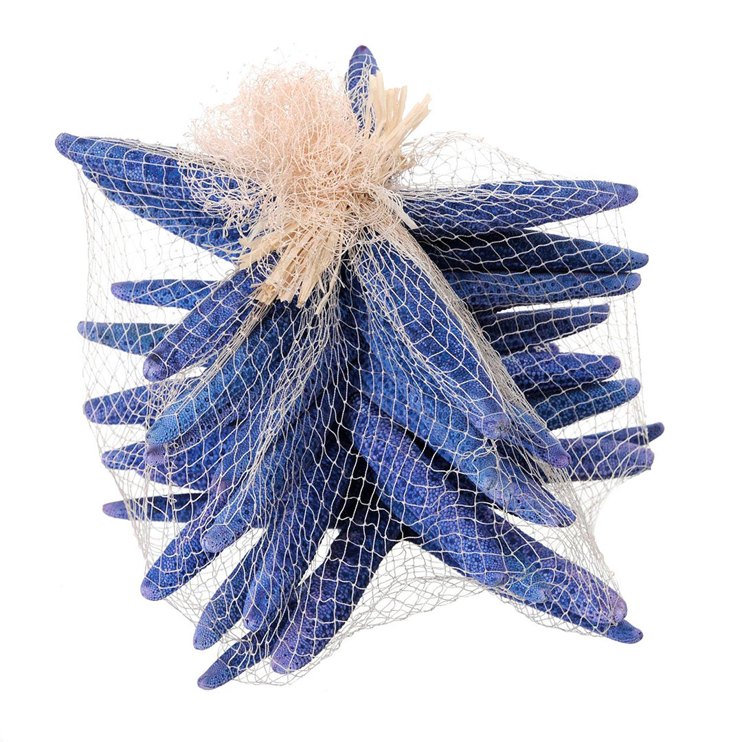 Stelle marine colorate 10 pezzi • 20 cm