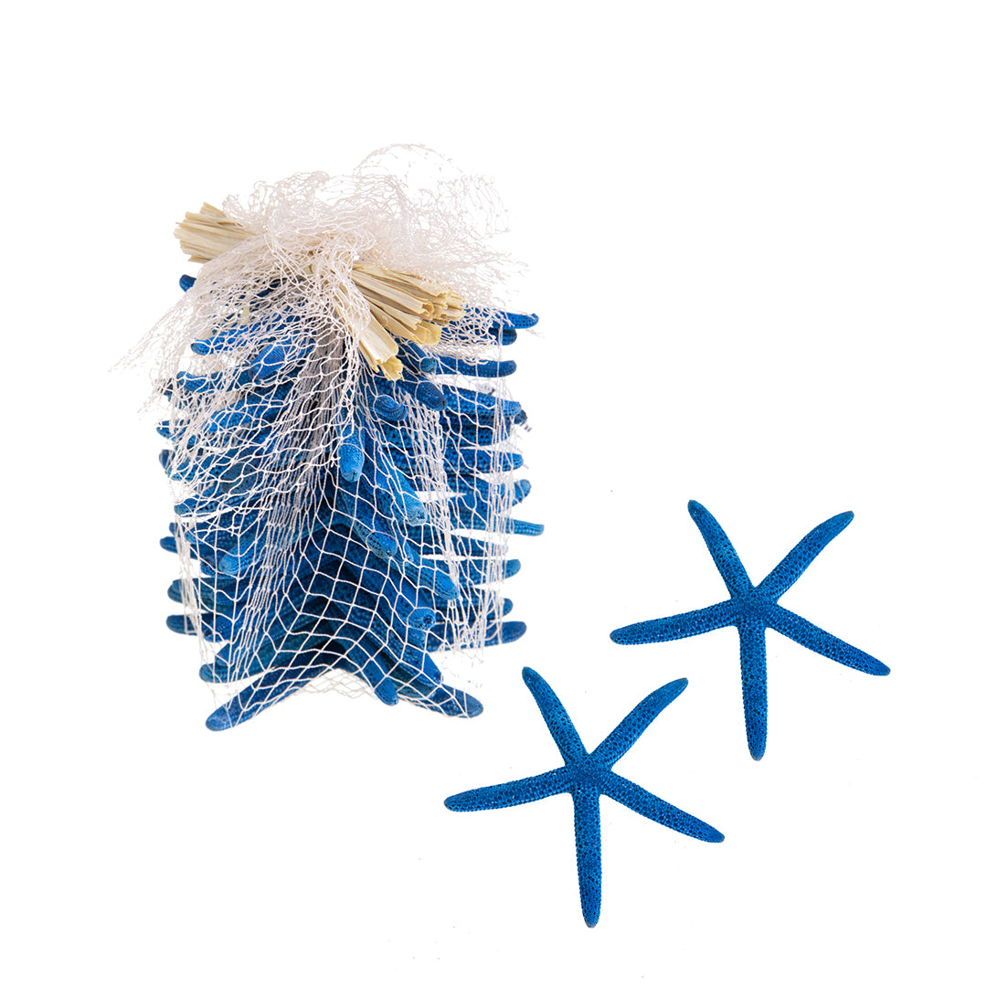 Stelle marine 2 buste da 15 pezzi • 10 cm