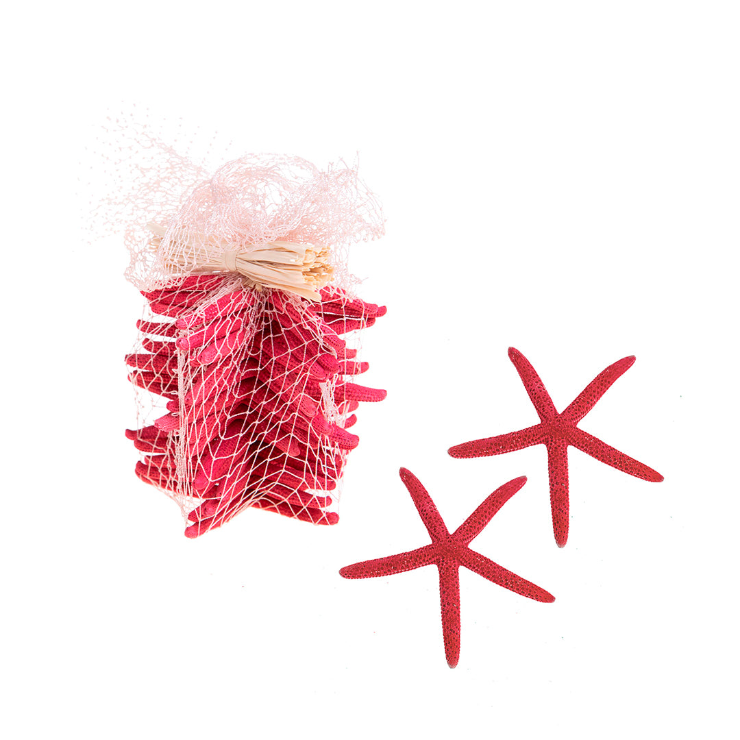 Stelle marine 2 buste da 15 pezzi • 10 cm