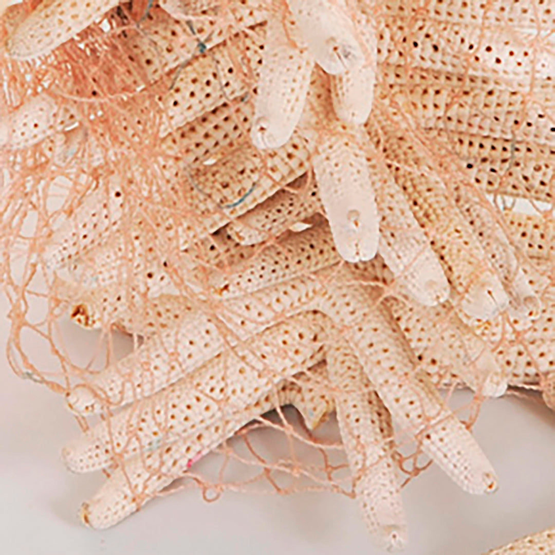 Stelle linckia laeigata 2 buste da 15 pezzi • 7,5 cm