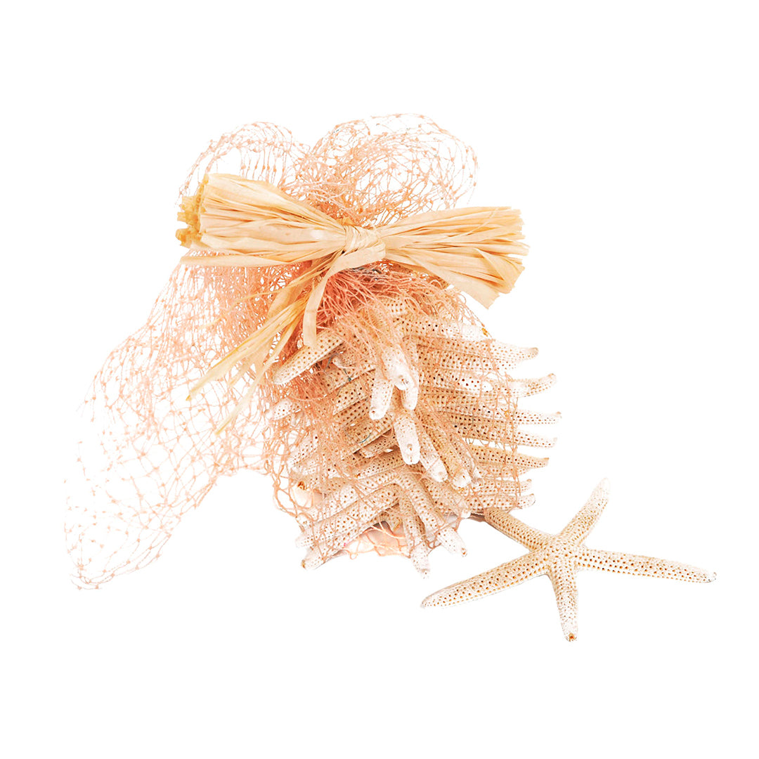 Stelle linckia laeigata 2 buste da 15 pezzi • 7,5 cm