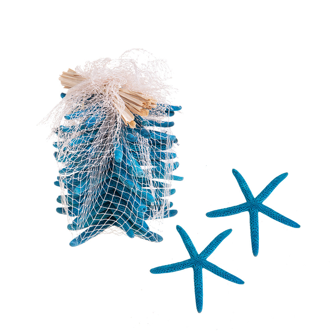 Stelle linckia laeigata 2 buste da 15 pezzi • 7,5 cm