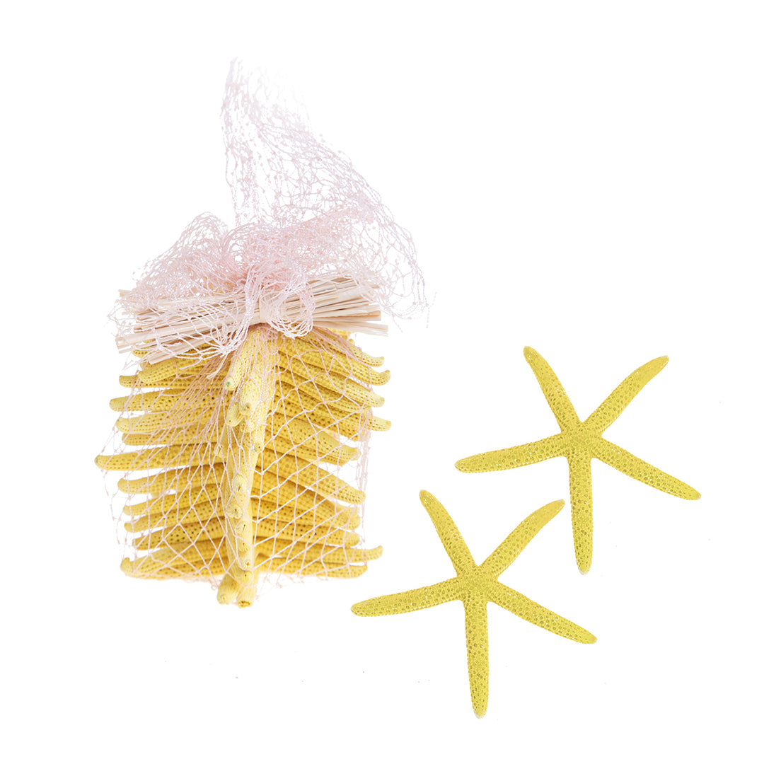 Stelle linckia laeigata 2 buste da 15 pezzi • 7,8 cm