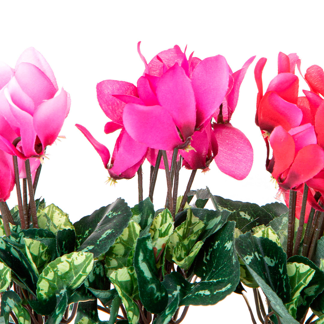 8 Pezzi • Mini ciclamino artificiale 7 fiori • 18 cm