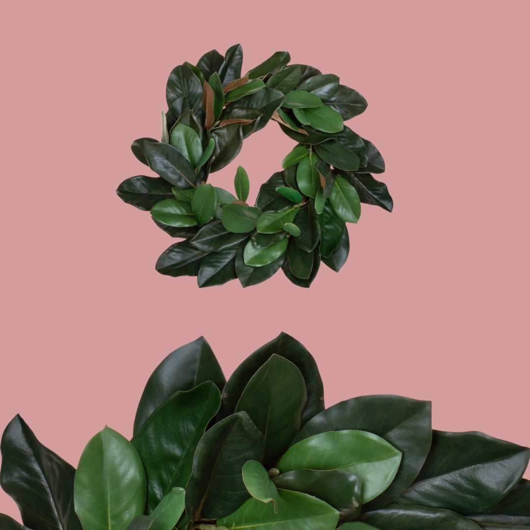 Corona con magnolia • H 10 cm