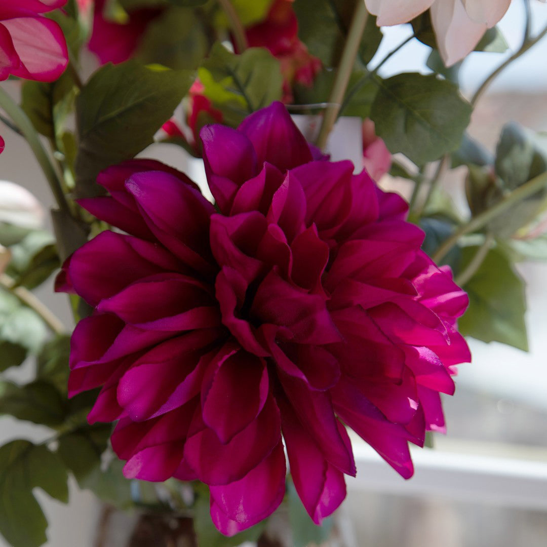 Dalia In Fiore • 80 cm
