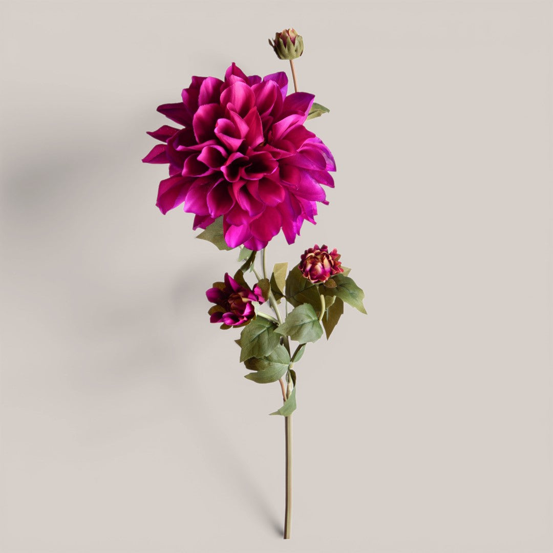 Dalia In Fiore • 80 cm