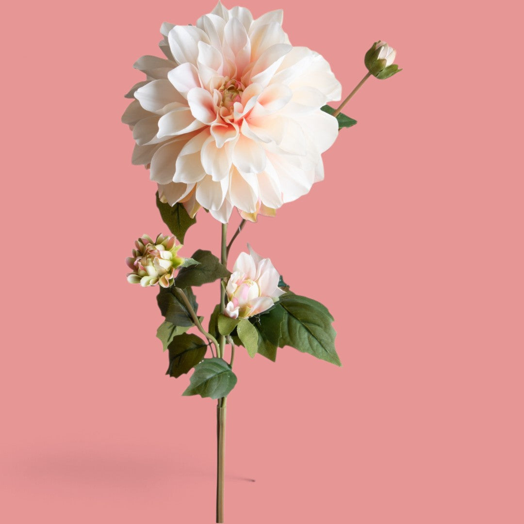 4 Pezzi • Dalia In Fiore • 80 cm