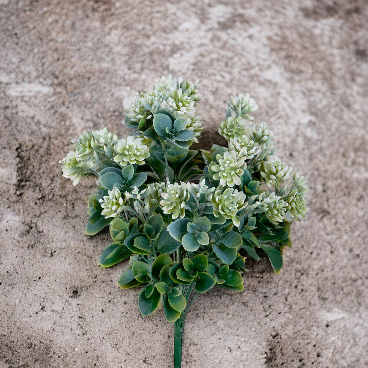 Pianta Succulent artificiale • 50 cm