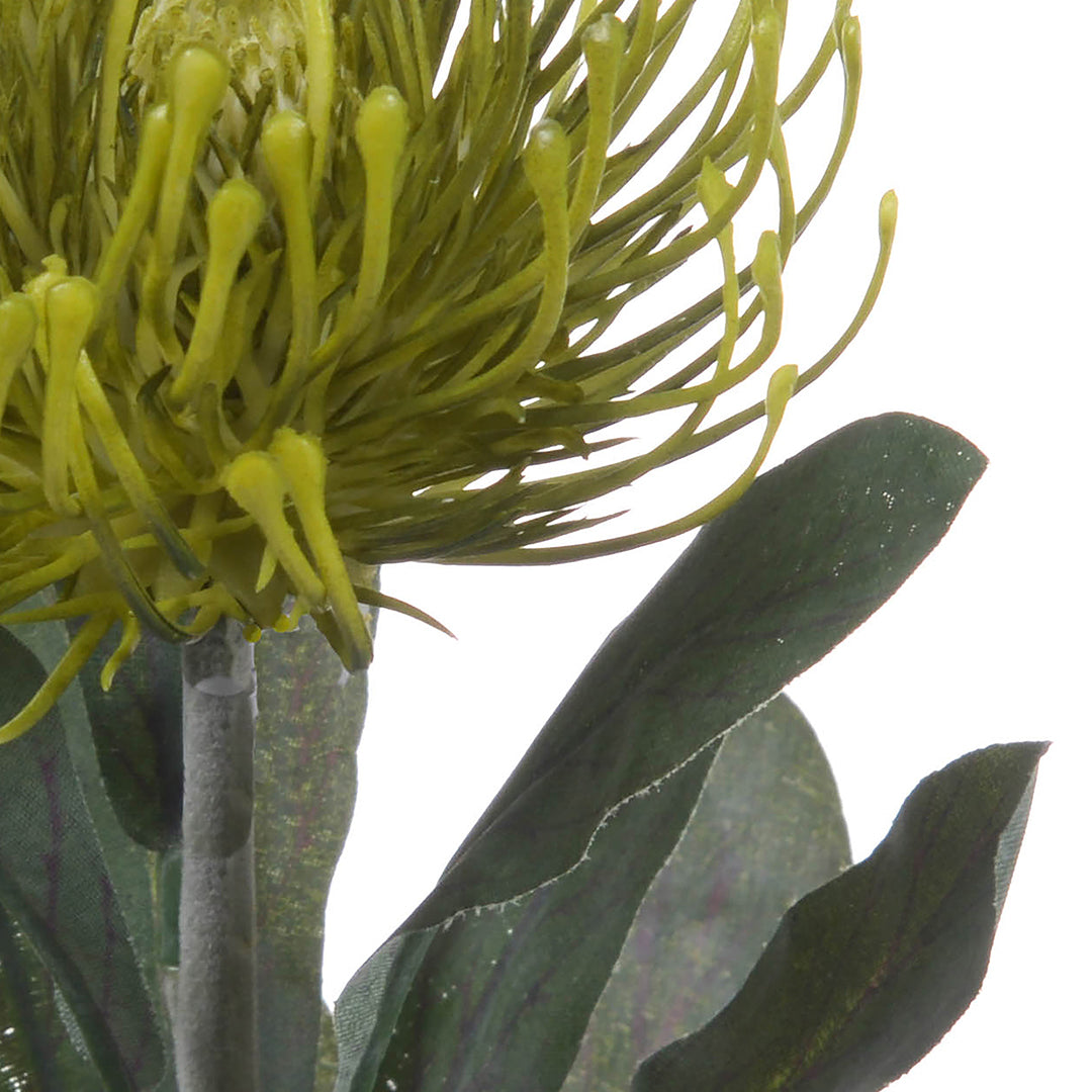 8 Pezzi • Protea artificiale 14 foglie • 67 cm