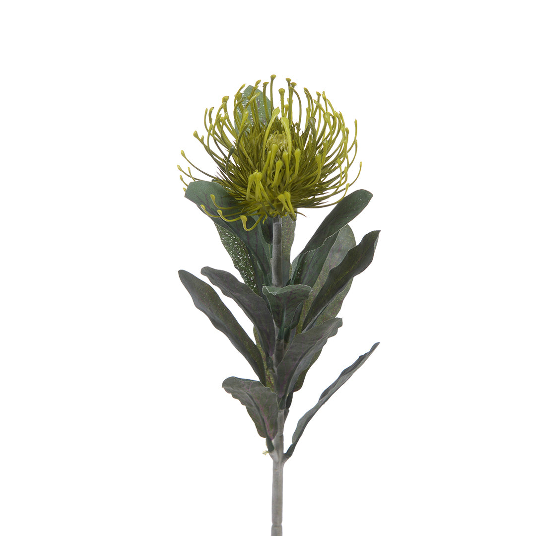 8 Pezzi • Protea artificiale 14 foglie • 67 cm
