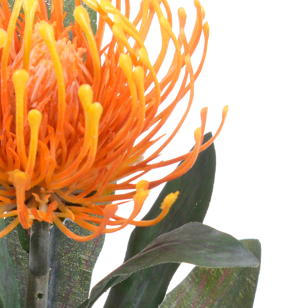 8 Pezzi • Fiore di protea artificiale 14 foglie • 67 cm