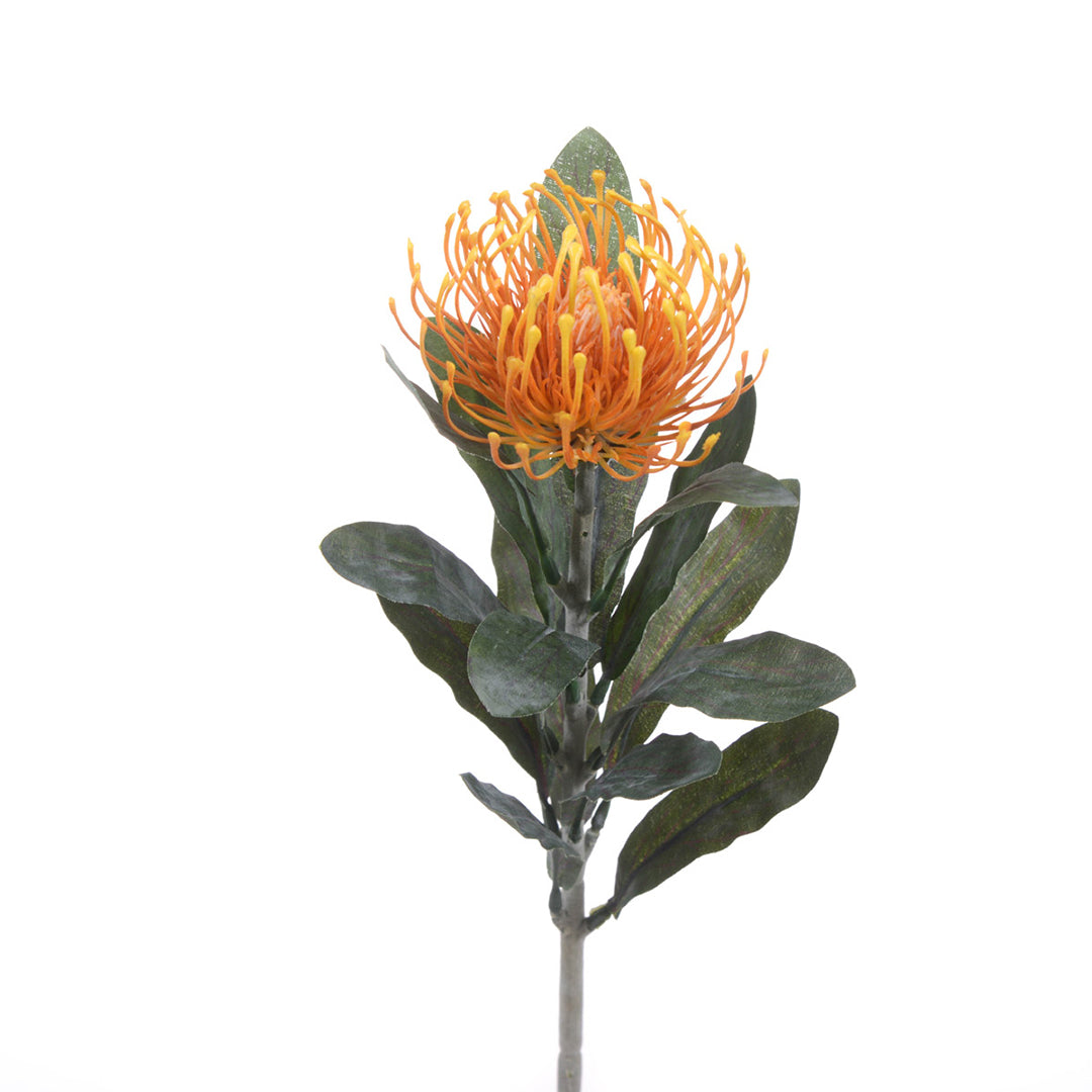 8 Pezzi • Fiore di protea artificiale 14 foglie • 67 cm