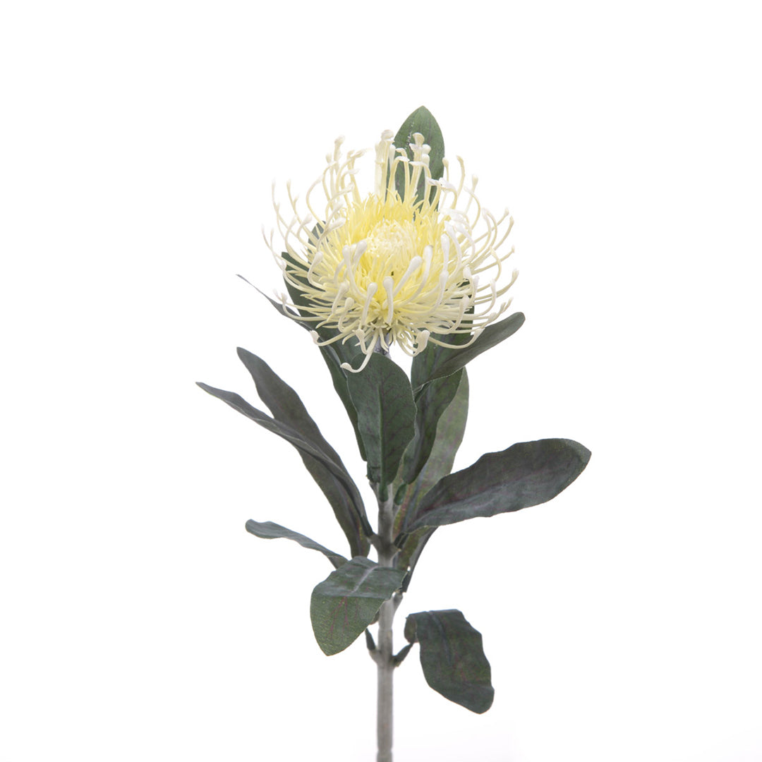 8 Pezzi • Fiore di protea artificiale 14 foglie • 67 cm