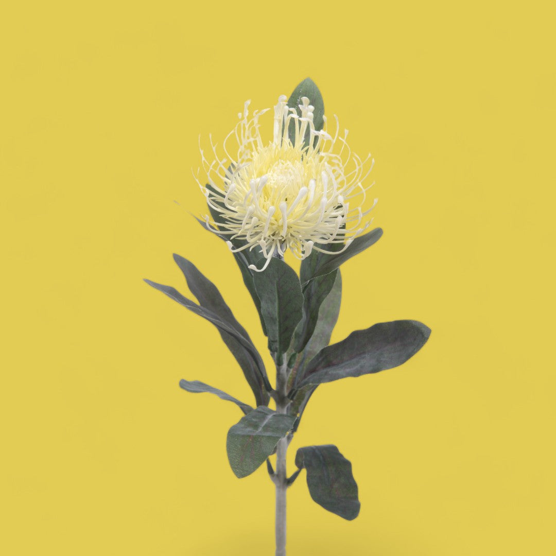 8 Pezzi • Fiore di protea artificiale 14 foglie • 67 cm