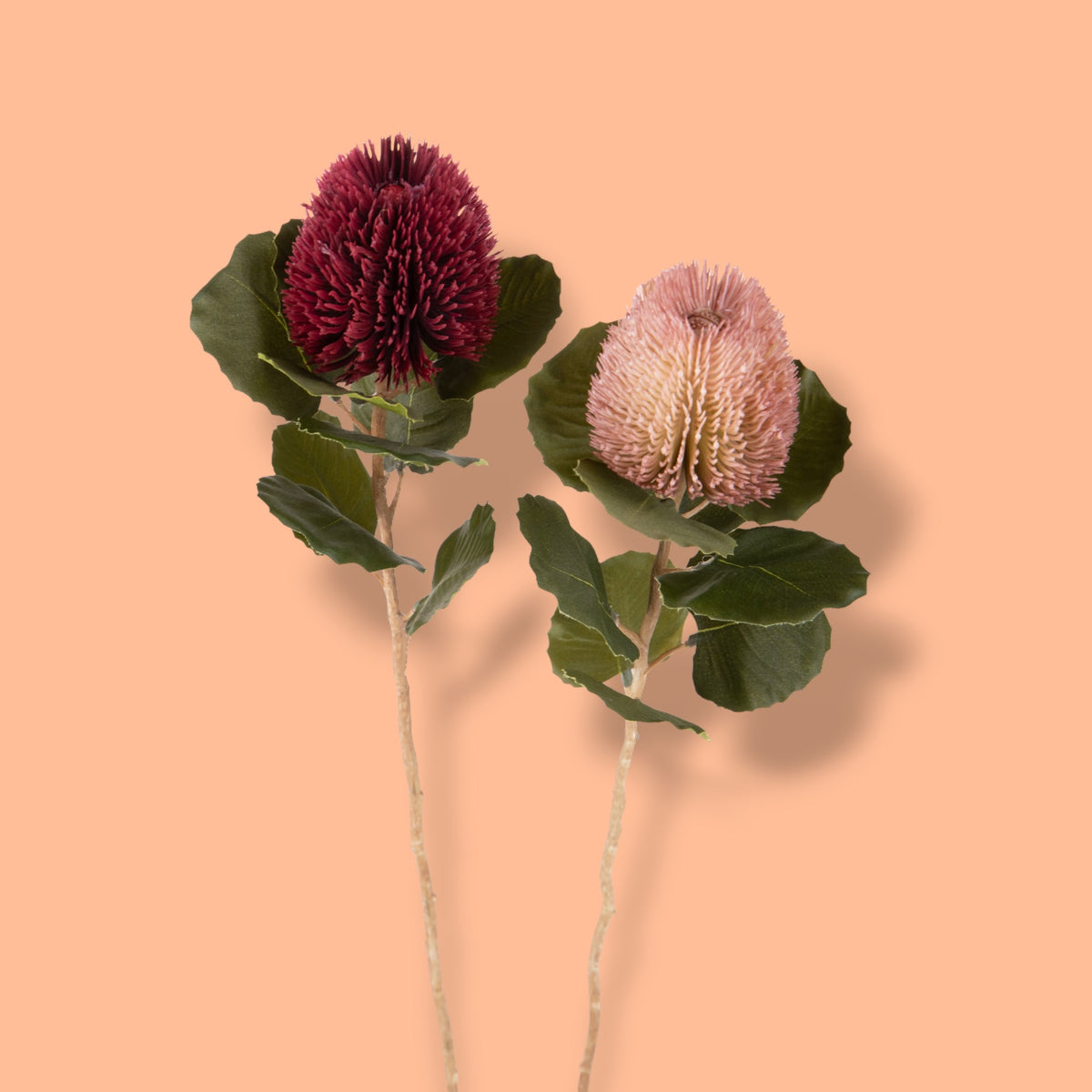 2 Pezzi • Banksia artificiale con 9 Foglie • 59 cm