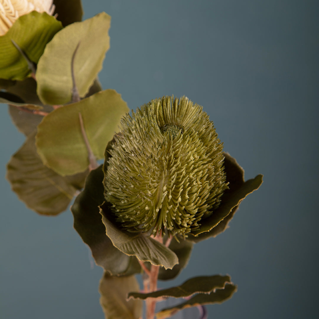 2 Pezzi • Banksia artificiale con 9 Foglie • 59 cm