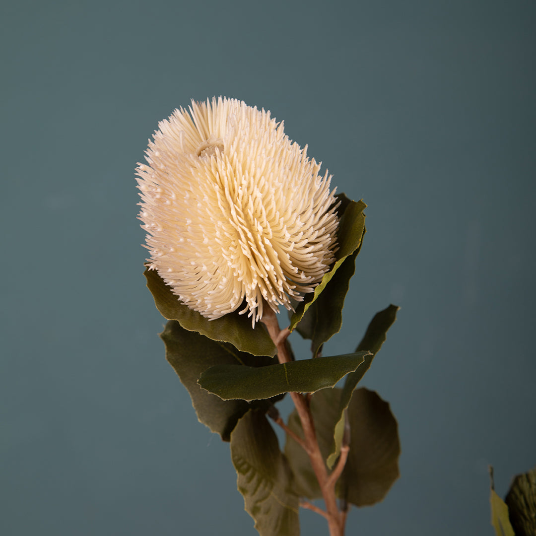 2 Pezzi • Banksia artificiale con 9 Foglie • 59 cm