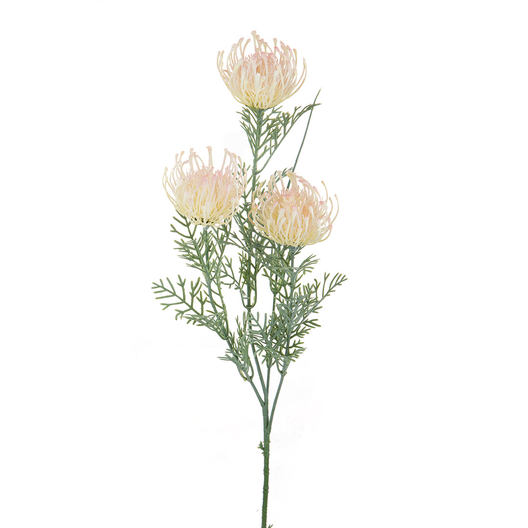 2 Pezzi • Protea artificiale australiana per 3 fiori • 56 cm