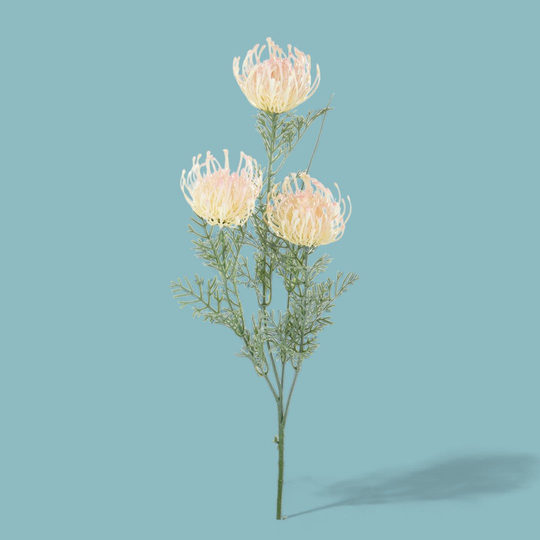2 Pezzi • Protea artificiale australiana per 3 fiori • 56 cm