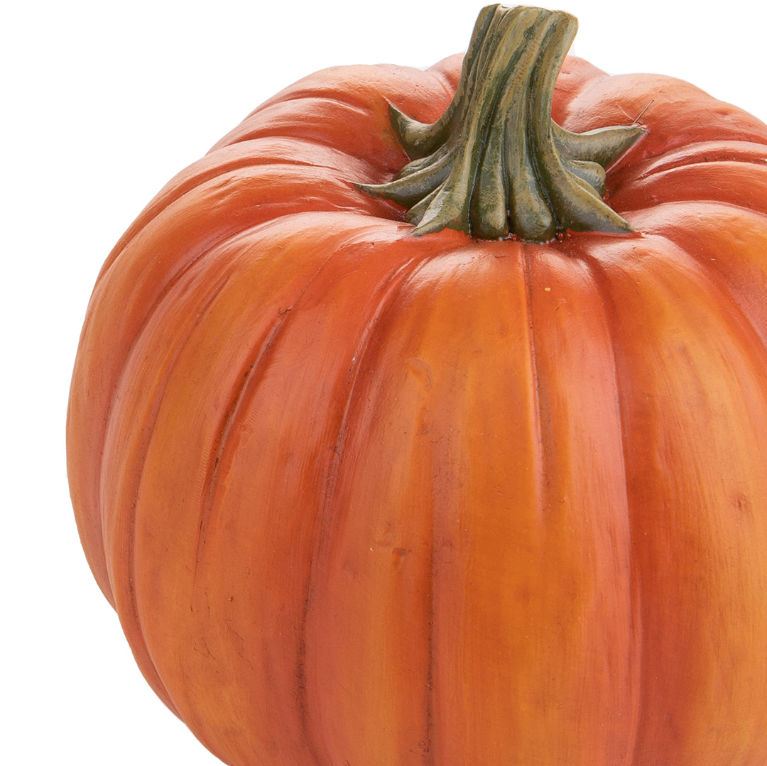 2 Pezzi • Zucca • 12,3 cm