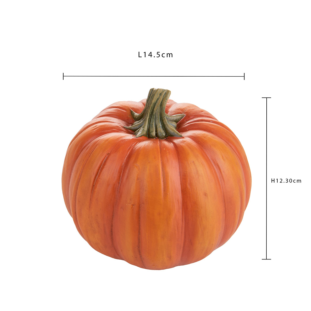 2 Pezzi • Zucca • 12,3 cm