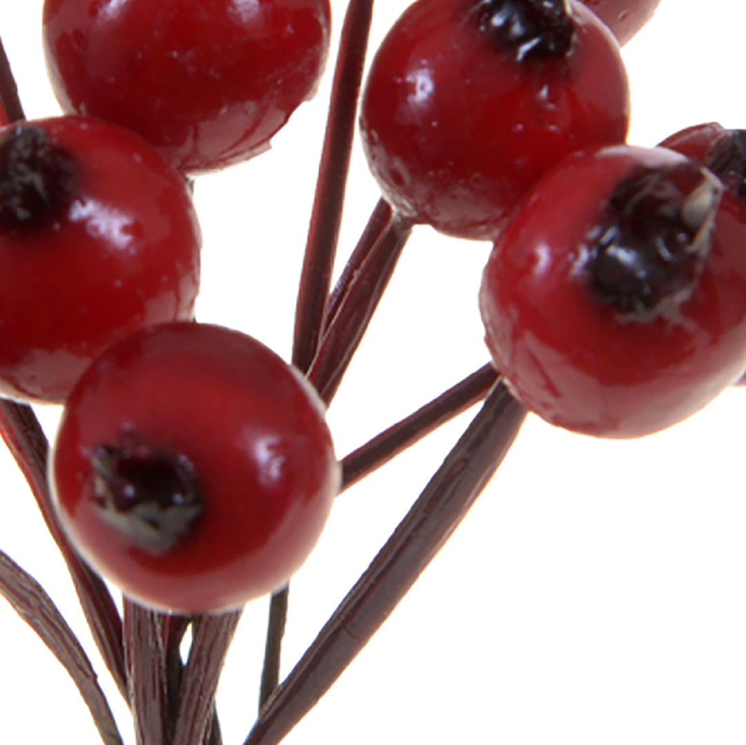 24 Pezzi • Bacche Pirichanta 12 Pz Dm • 10 cm