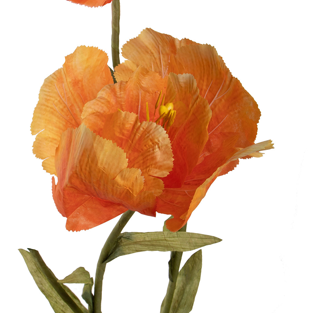 Tulipano 3 Fiori • 185 cm