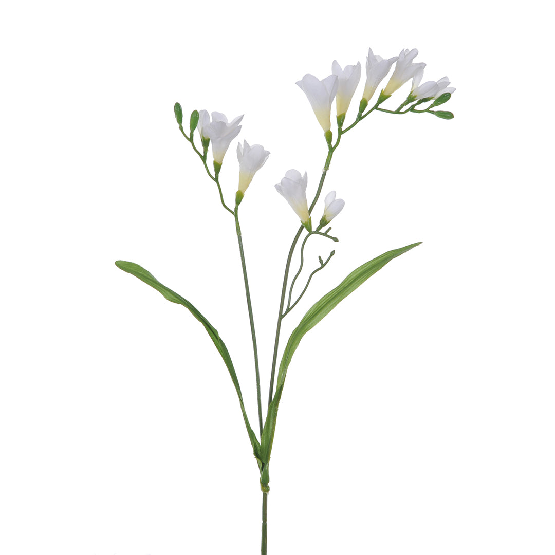 8 Pezzi • Fiore di Fresia artificiale composta da 2 fiori • 69 cm