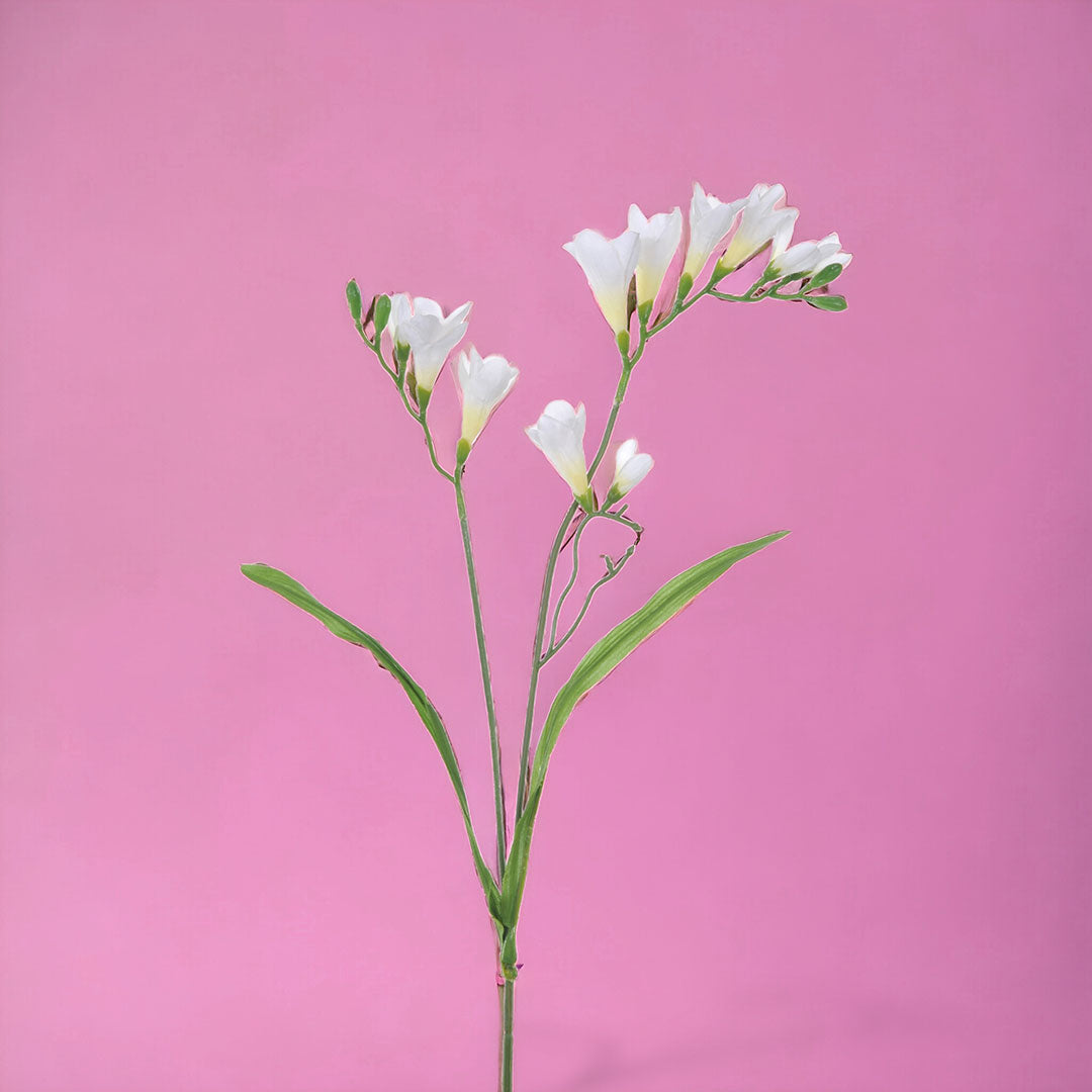 8 Pezzi • Fiore di Fresia artificiale composta da 2 fiori • 69 cm