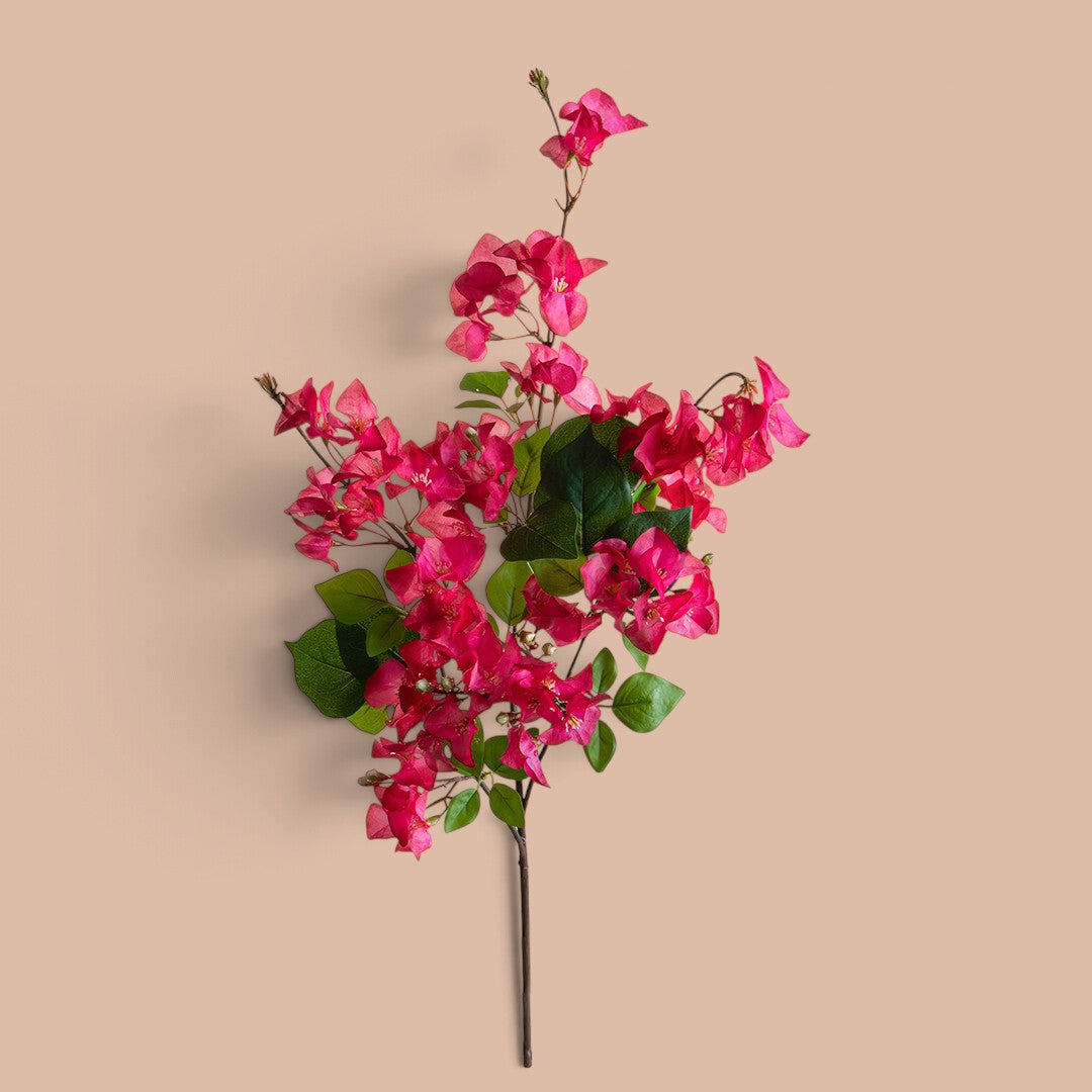 4 Pezzi • Bouganville Tralcio • 100 cm