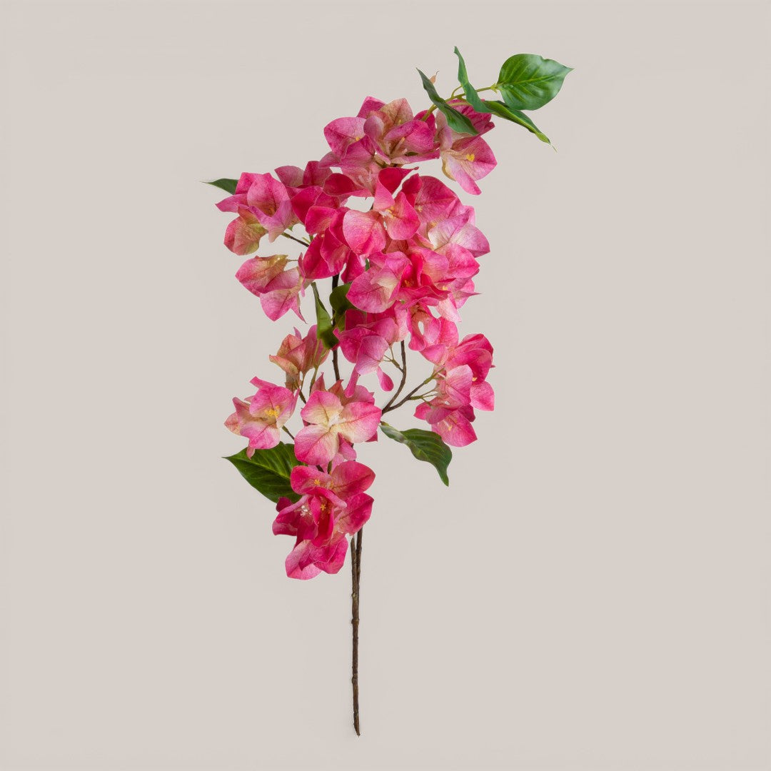 Bouganville • 93 cm