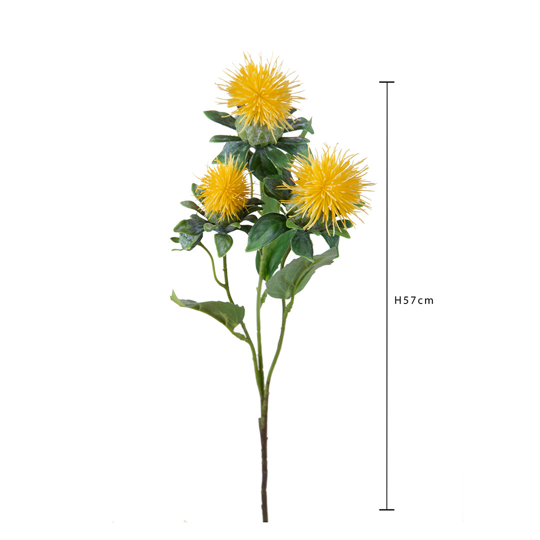 Carthamus per 3 fiori • 57 cm