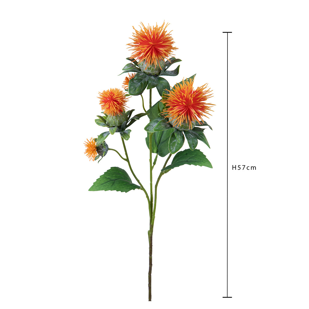 Carthamus per 3 fiori • 57 cm