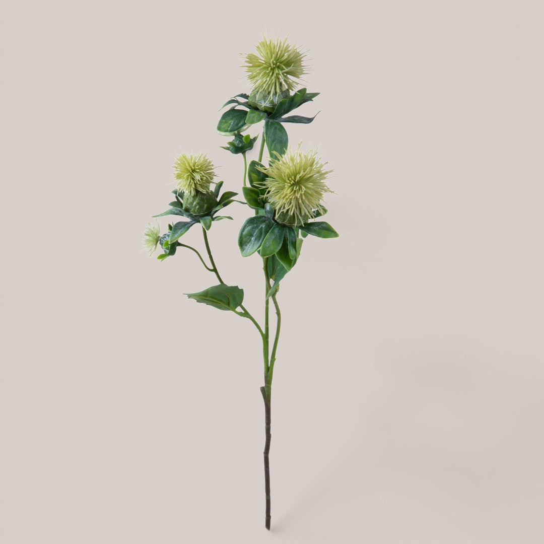 Carthamus per 3 fiori • 57 cm