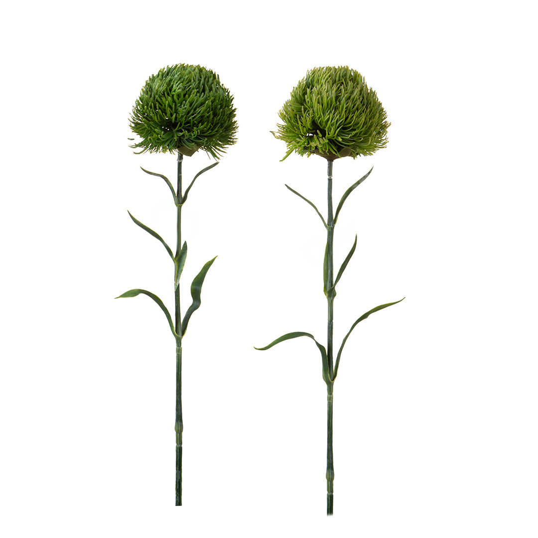Barbatus Green Ball • 53 cm