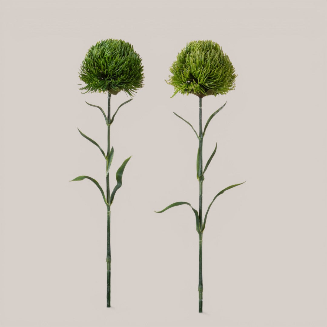 Barbatus Green Ball • 53 cm