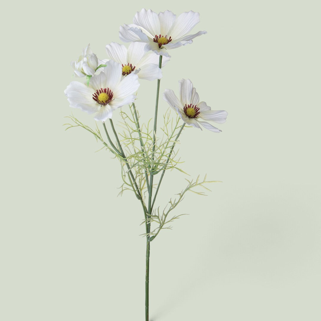 12 Pezzi • Cosmos In Fiore per 5 • 68 cm