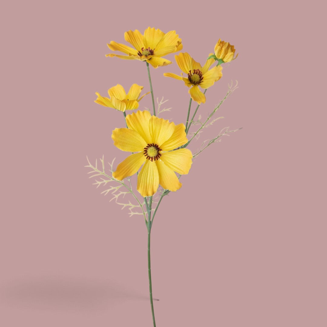 12 Pezzi • Cosmos In Fiore per 5 • 68 cm