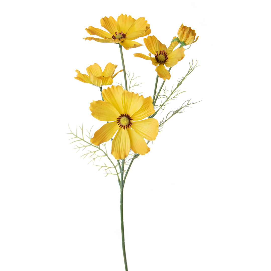 Cosmos In Fiore per 5 • 68 cm
