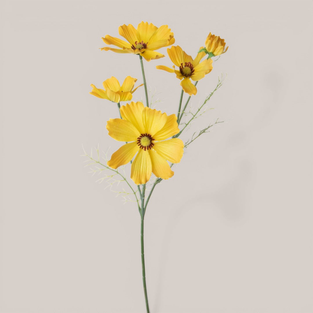 Cosmos In Fiore per 5 • 68 cm