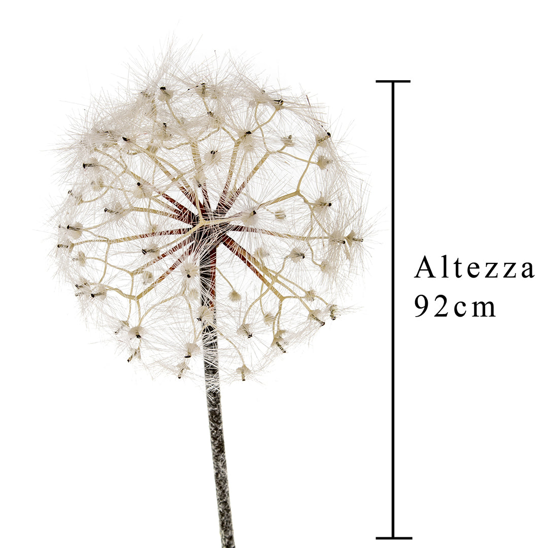 Tarassaco/Dandelion • 92 cm